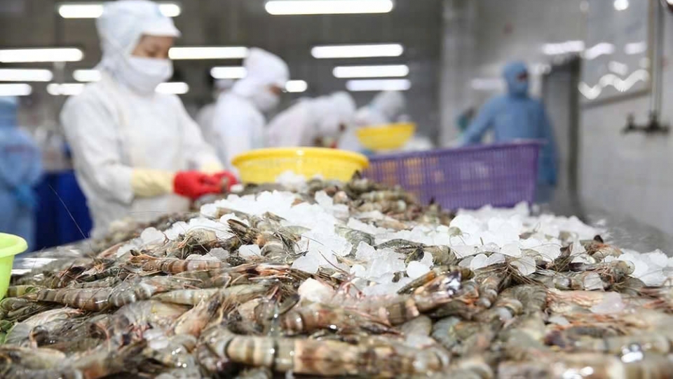Webinar promotes Vietnam – Senegal business connectivity